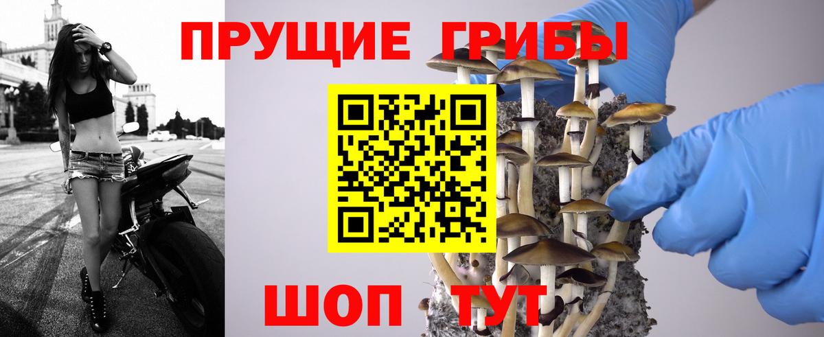 Саяногорск  Псилоцибиновые грибы прущие грибы  Вход с VPN 